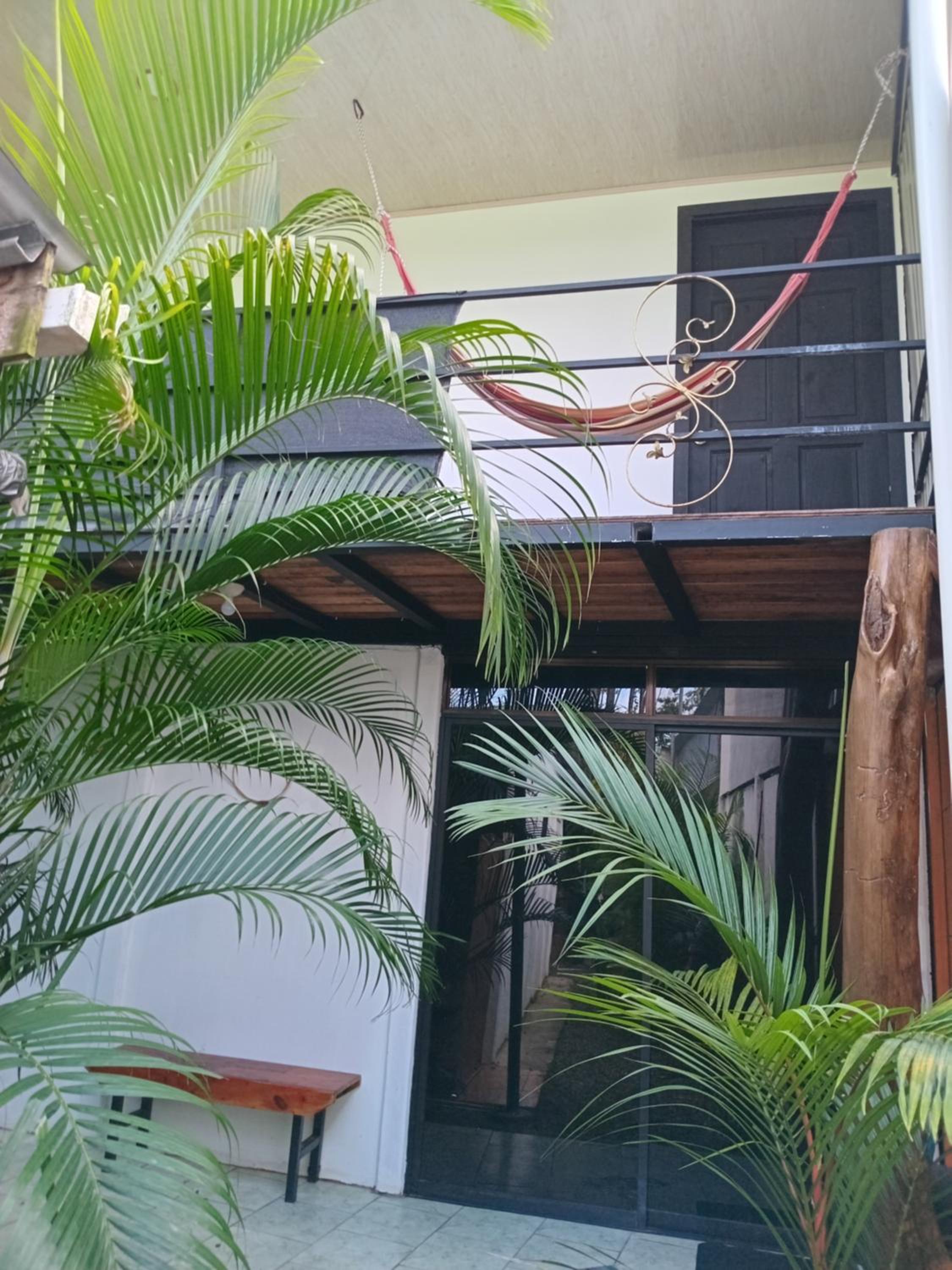 Casa palmera