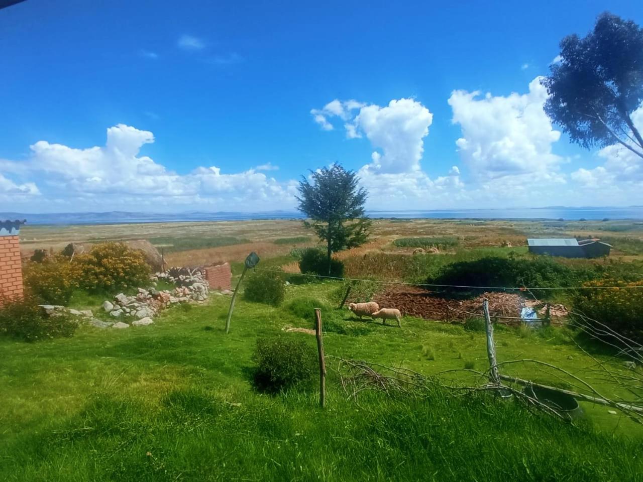 TITICACA'S SALA UTA