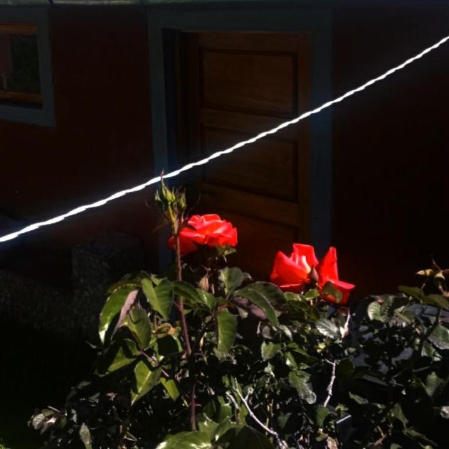 TITICACA'S SALA UTA