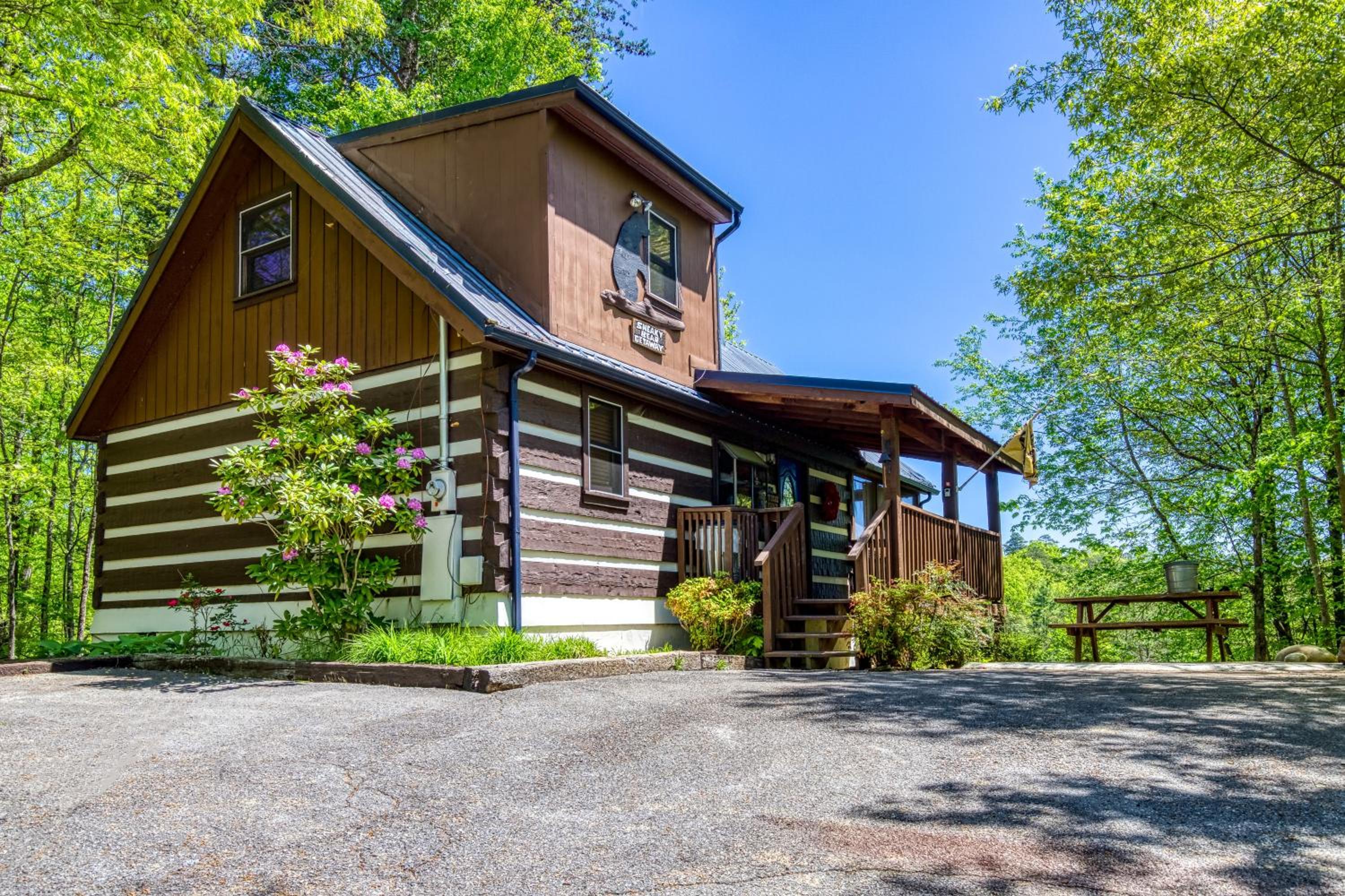 Sneaky Bear Getaway, Hot Tub, WIFI, 560 FREE tickets each paid day!!! view 3