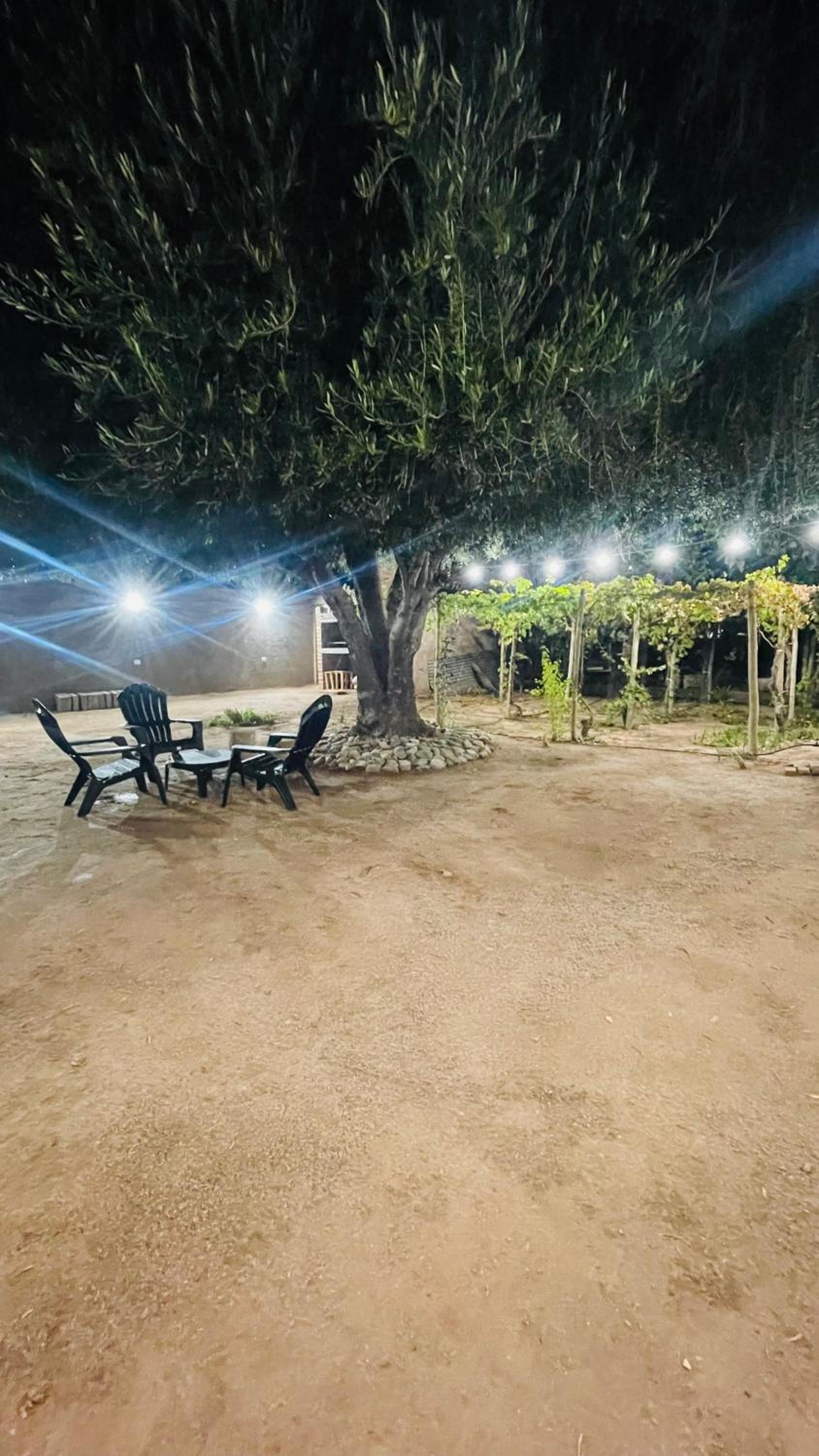 Monoambientes El viejo Olivo
