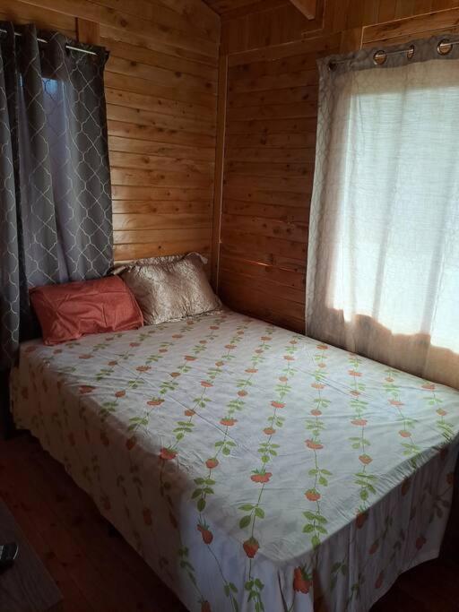 Cabaña Gitana - Magical and WINDY nature getaway!