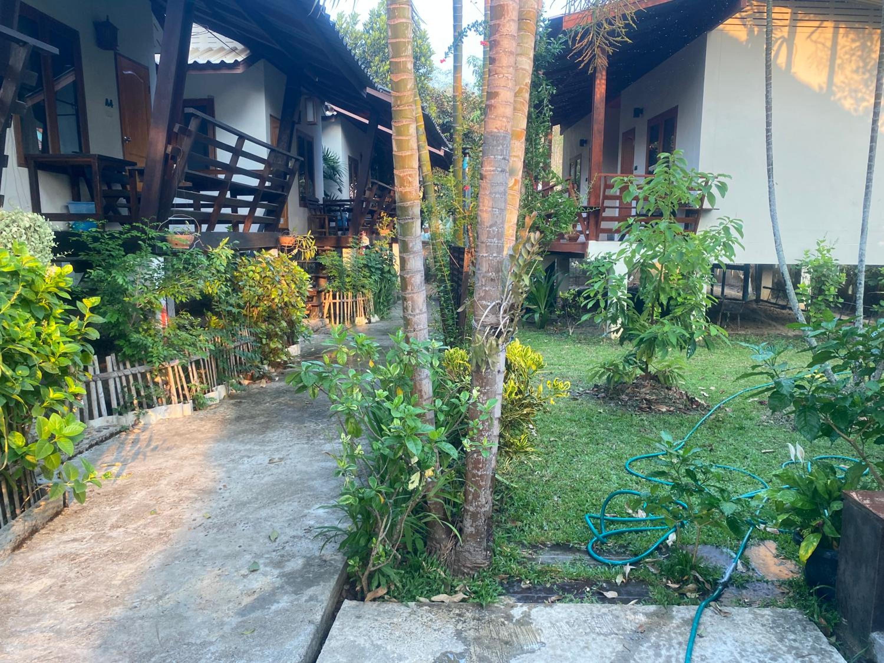 paibaansuan view 2