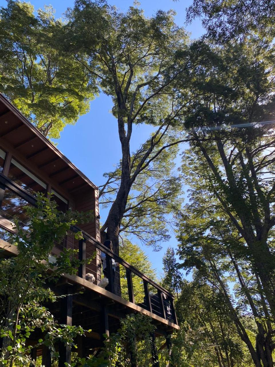 Loft Coigüe, Lodge Pucón Santos del Huife
