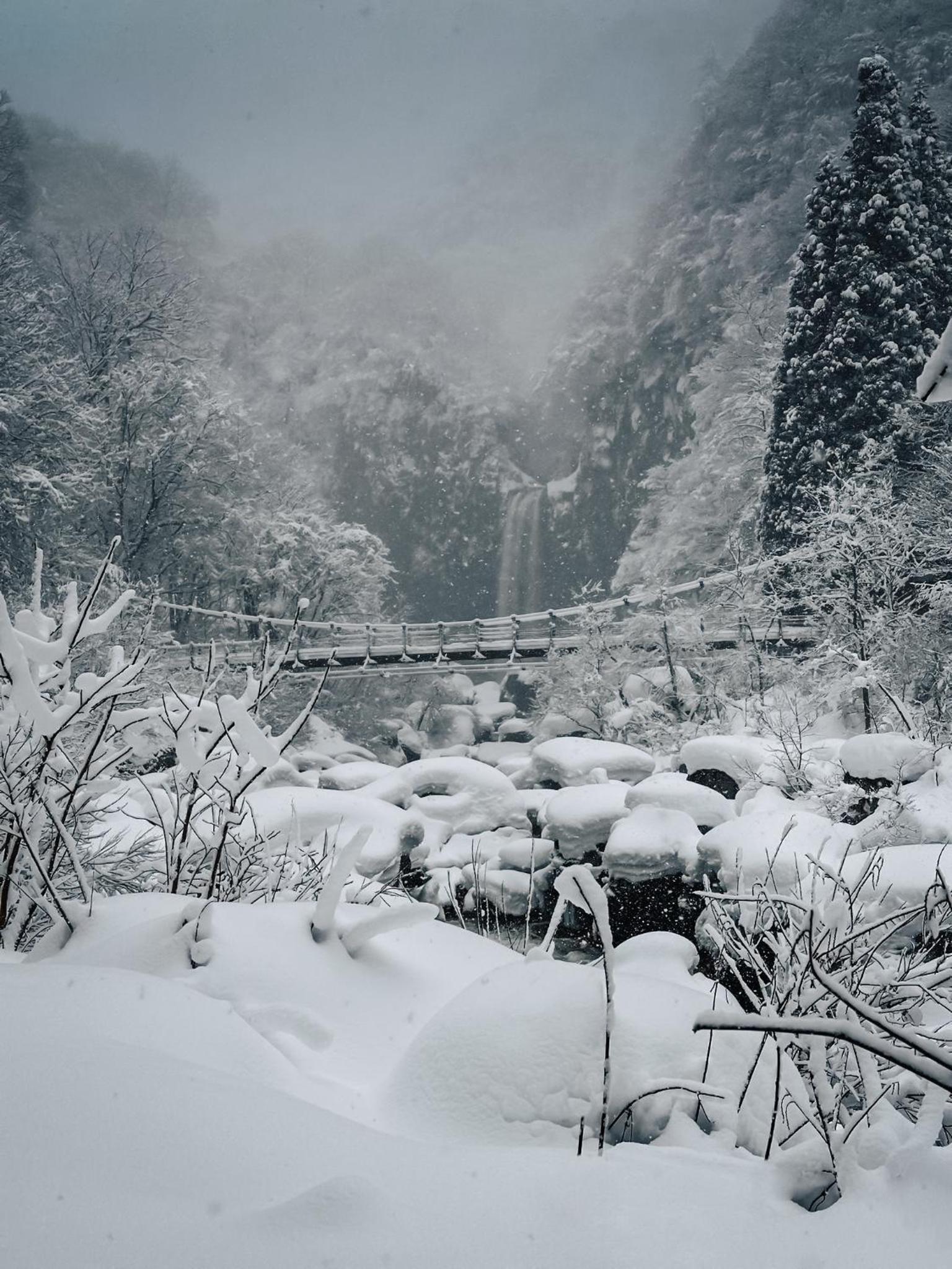 Lucky Duck Cabin Myoko