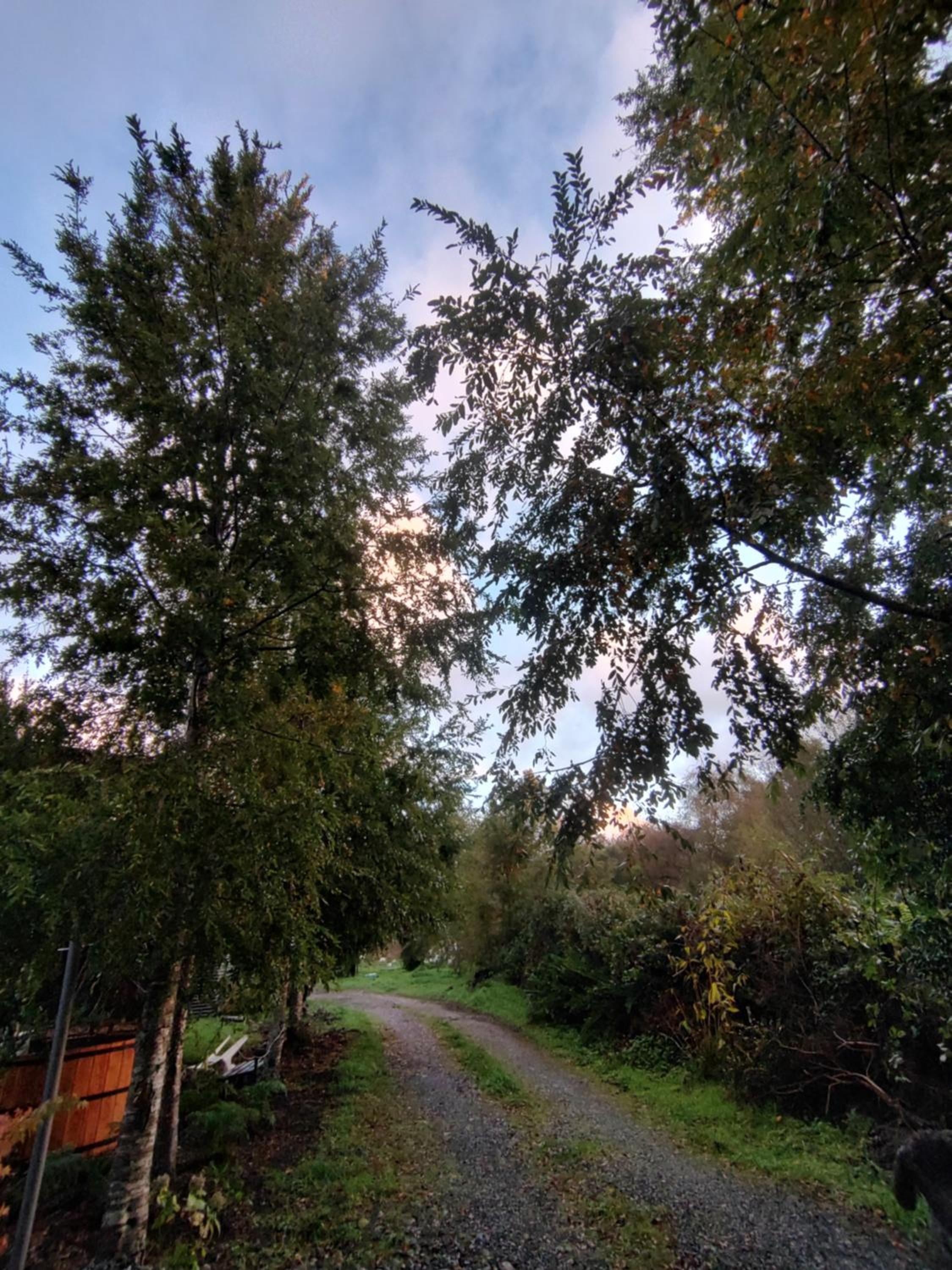 Photo 32