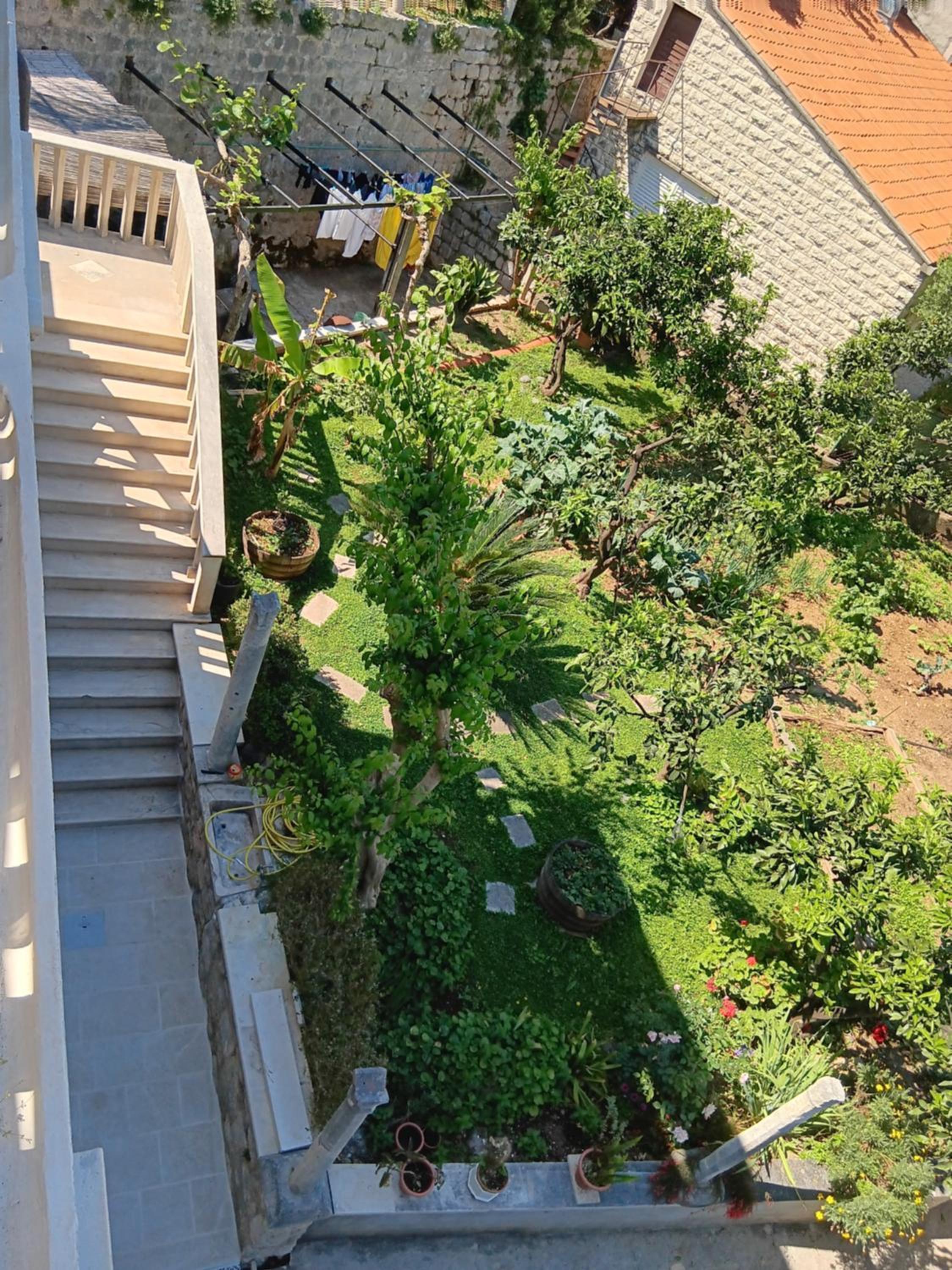 Apartments Vicko Vodnica view 5
