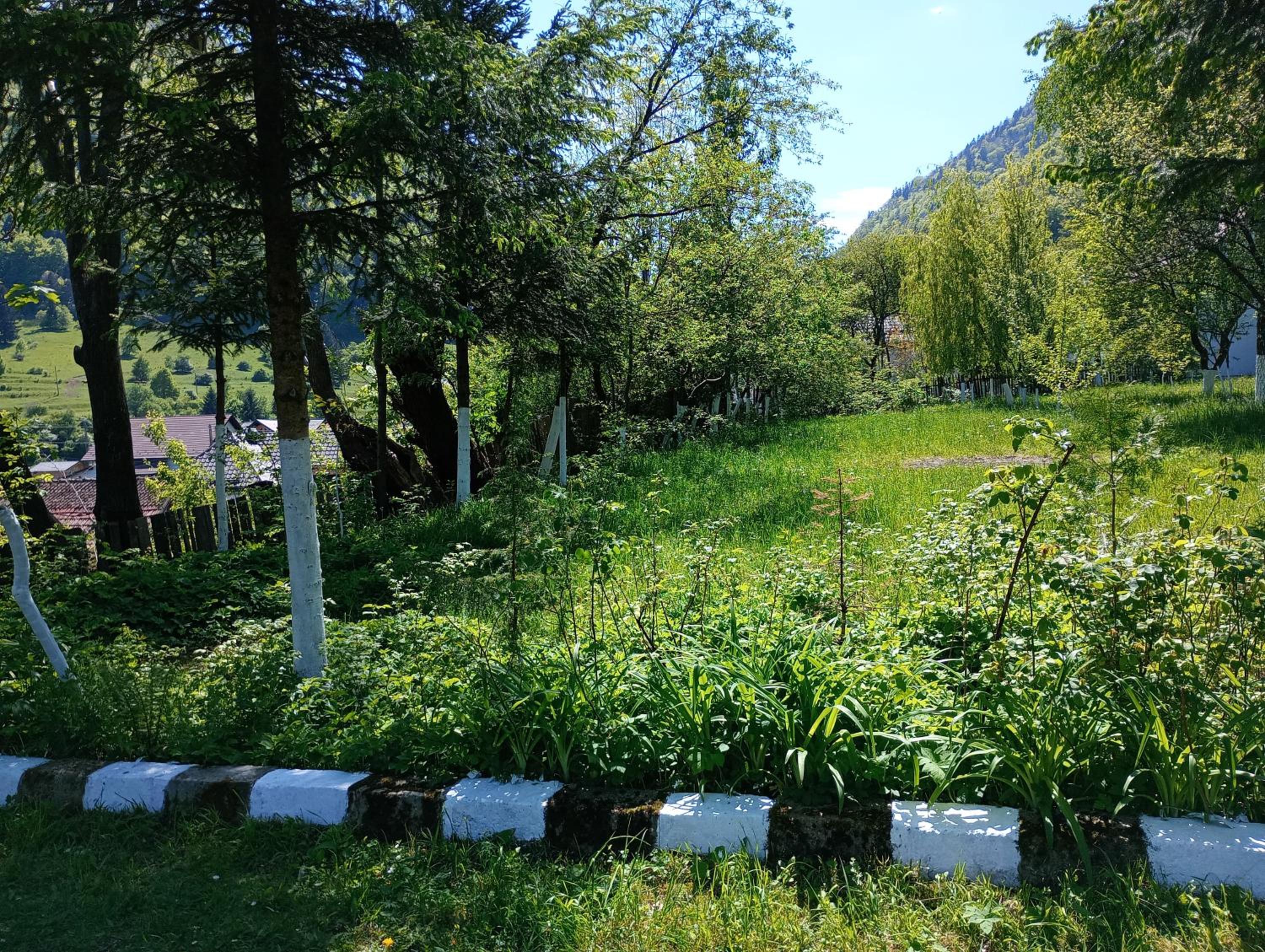 Pensiunea Irina 1 si 2