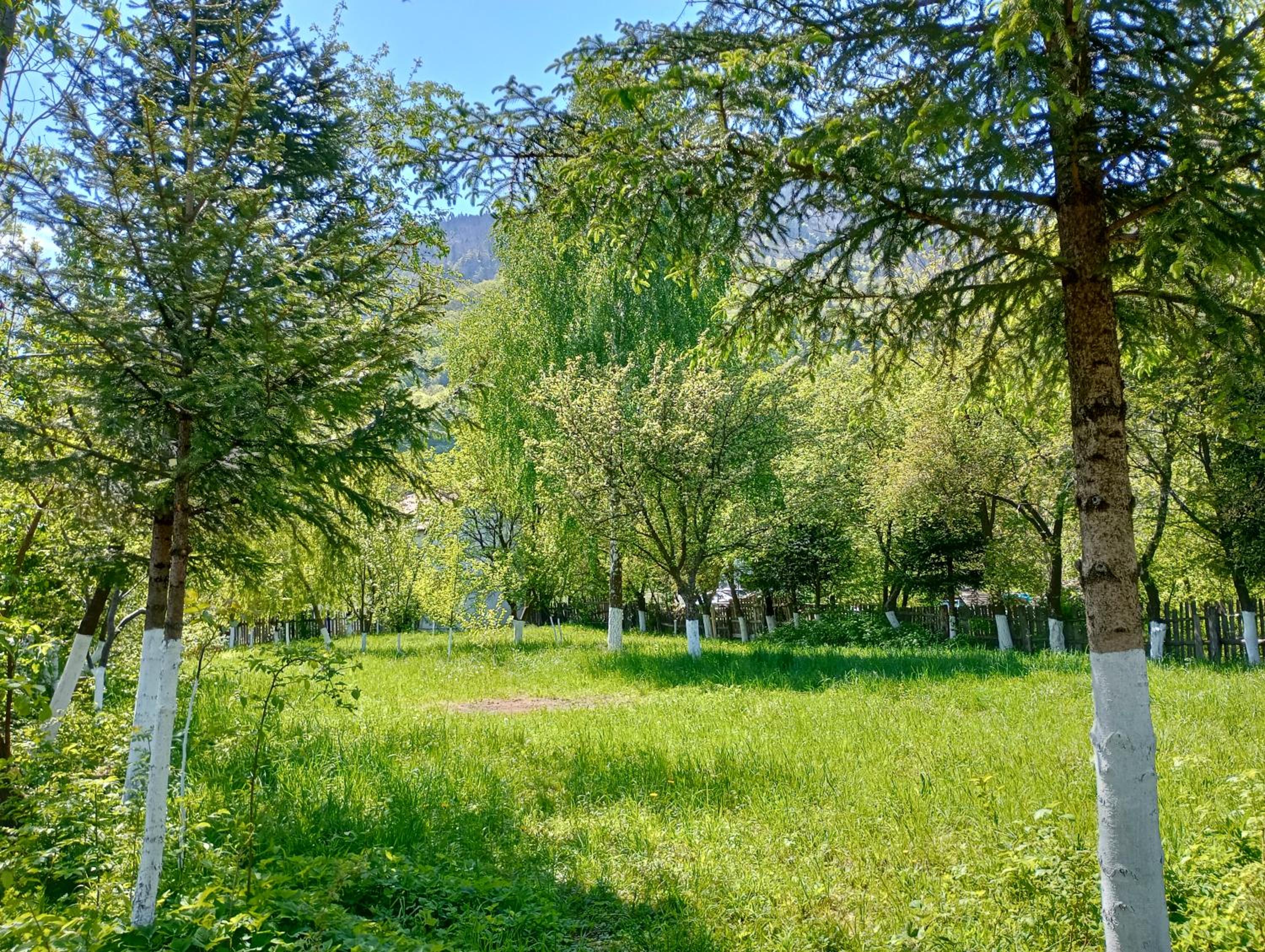 Pensiunea Irina 1 si 2