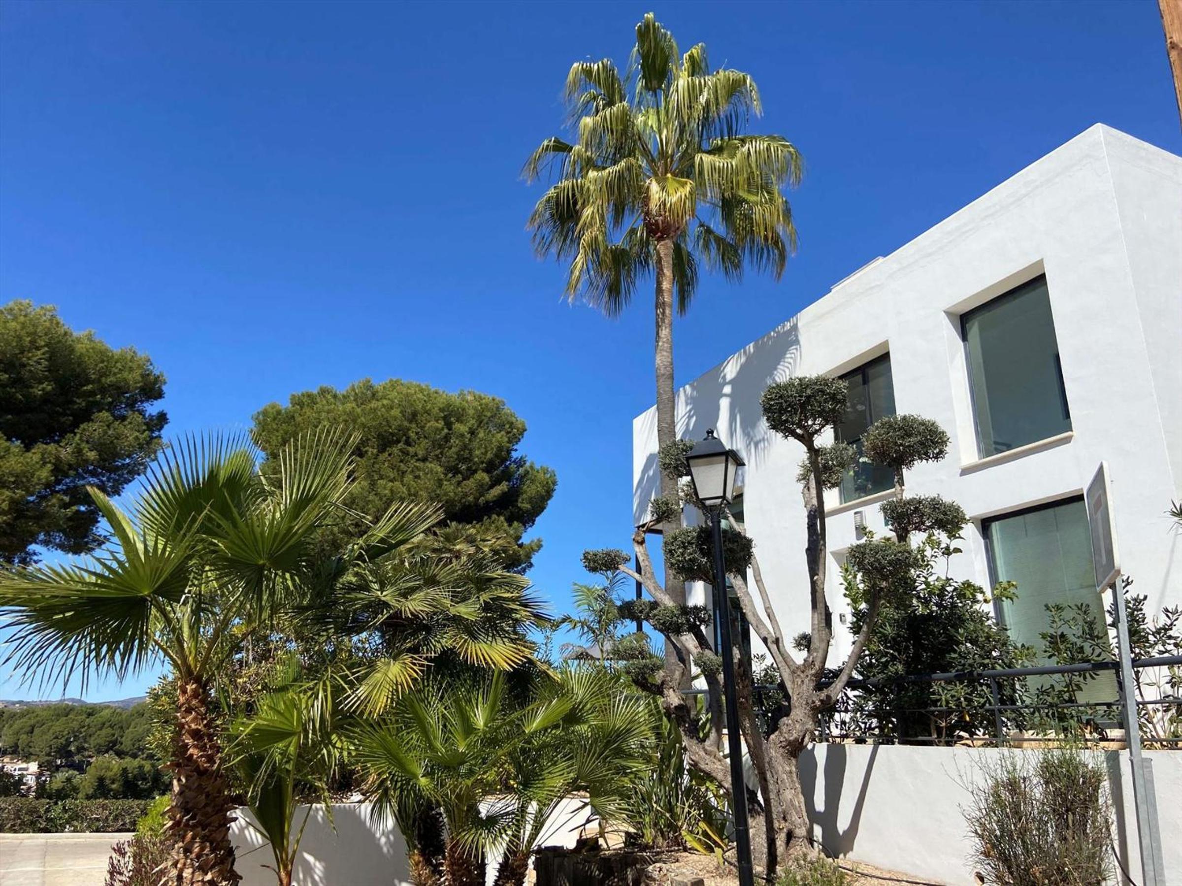 Gran alquiler en Moraira con piscina privada, aire acondicionado y mascotas permitidas - HISP-216-231 view 4