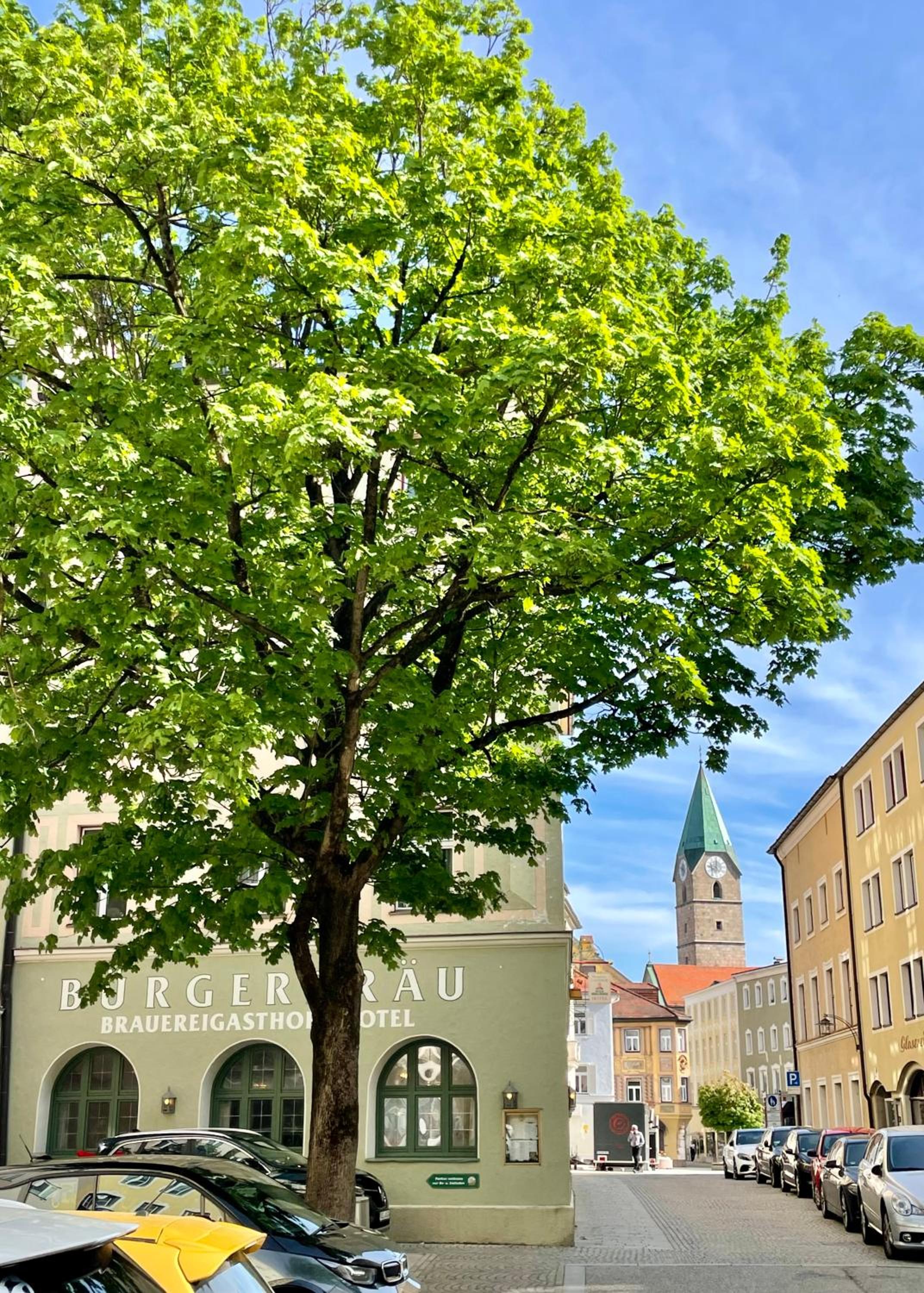 building