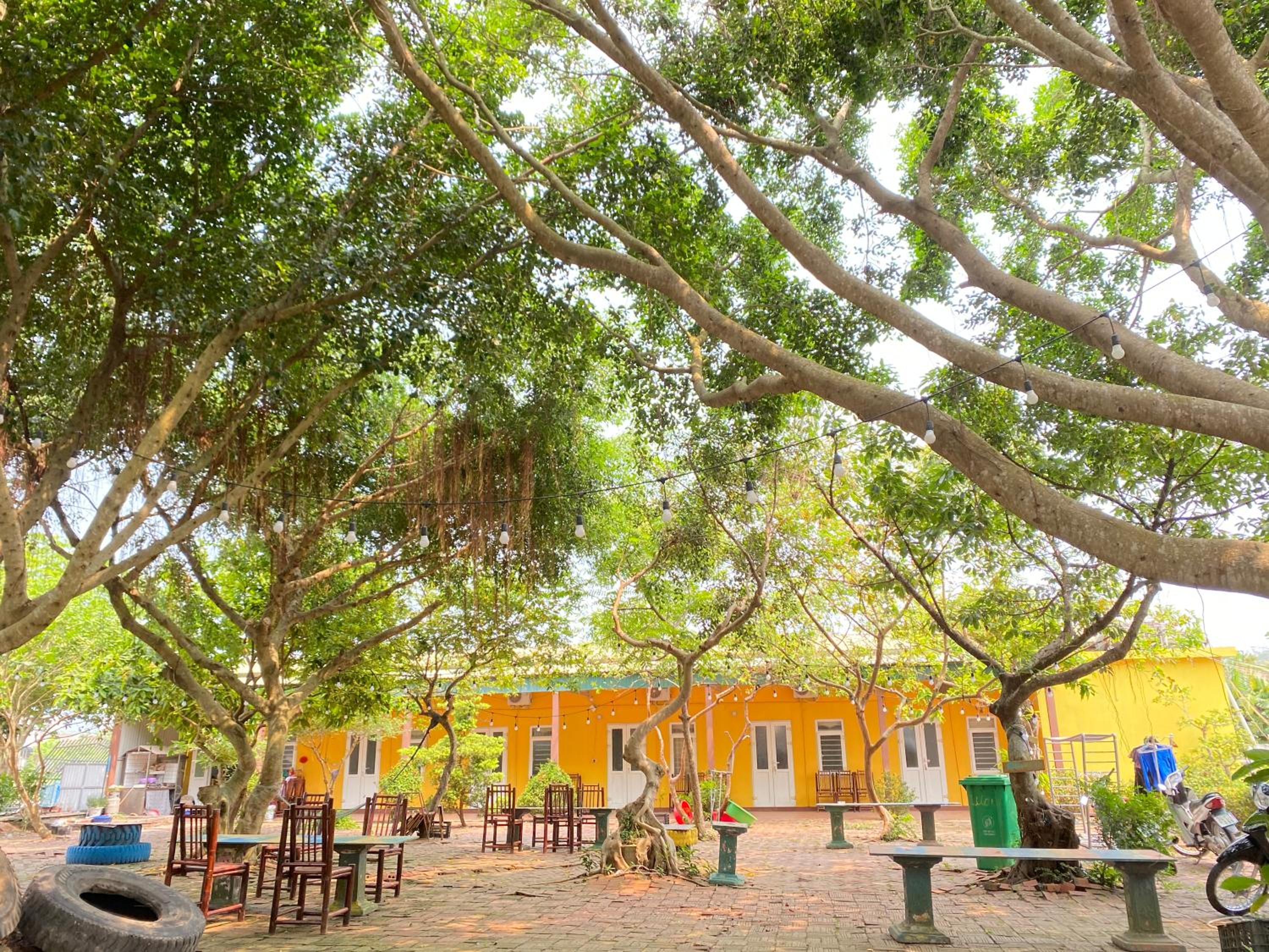 Cô Tô Lương Chi, photo 25