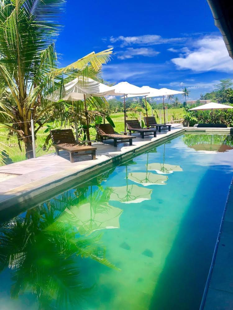 villa aline view 4
