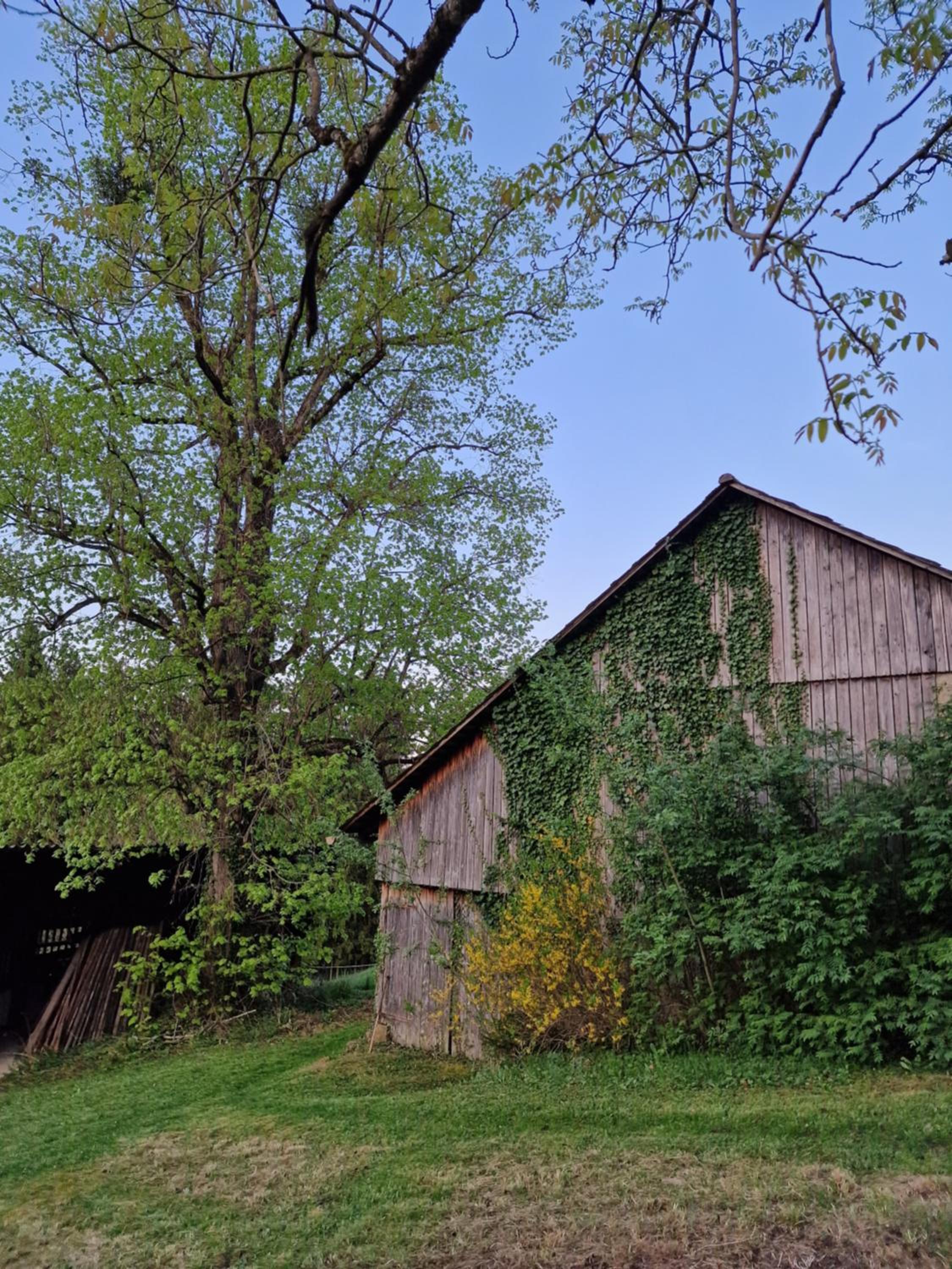 Natur- & Erlebnis Ferienhaus