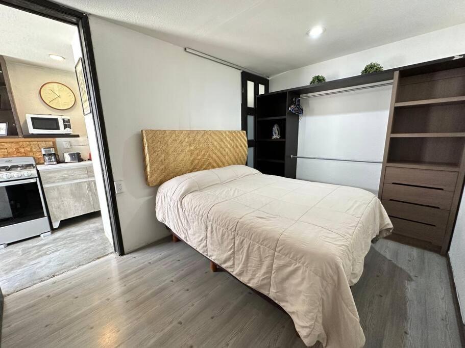 Cozy Apartment in the Condesa photo 2