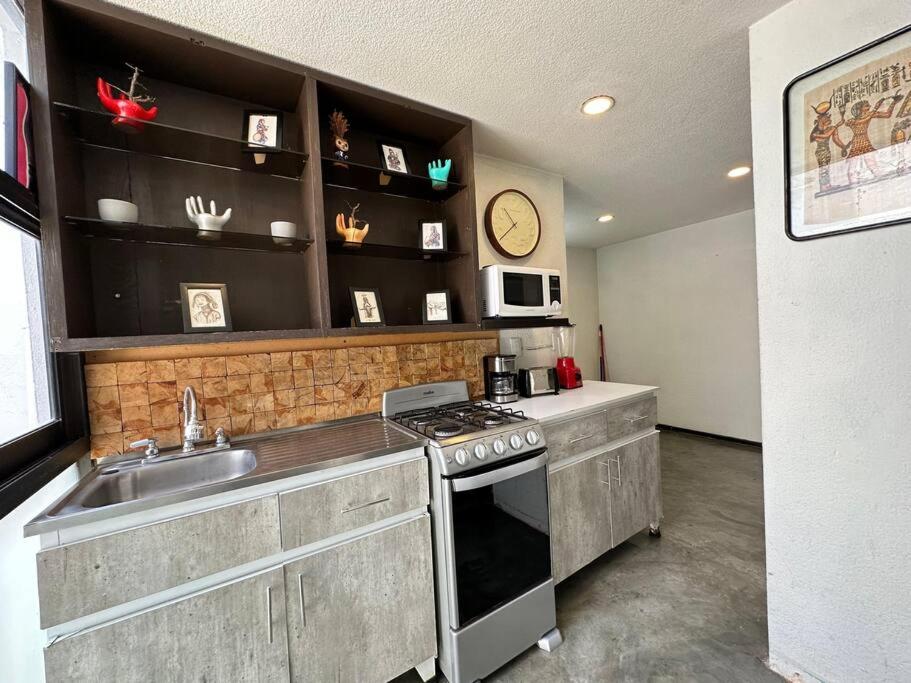 Cozy Apartment in the Condesa photo 3