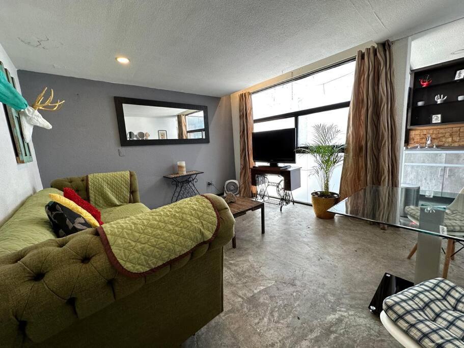 Cozy Apartment in the Condesa photo 4