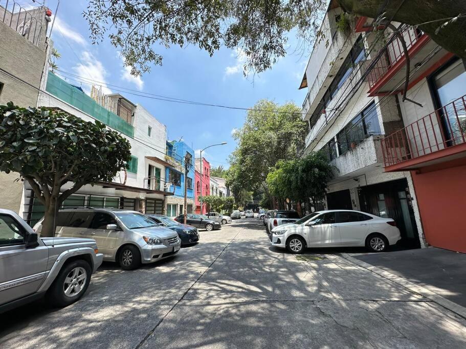 Cozy Apartment in the Condesa photo 5