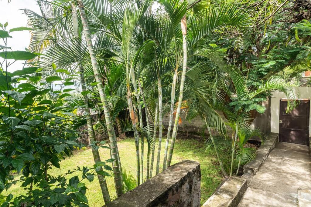 Villa de los abuelos, Burgos Cuernavaca