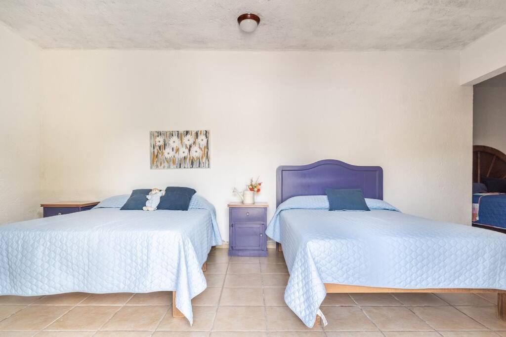 Villa de los abuelos, Burgos Cuernavaca