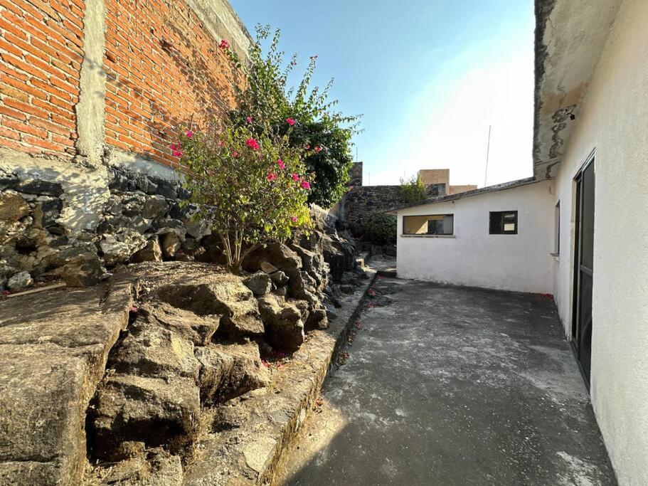 Villa de los abuelos, Burgos Cuernavaca