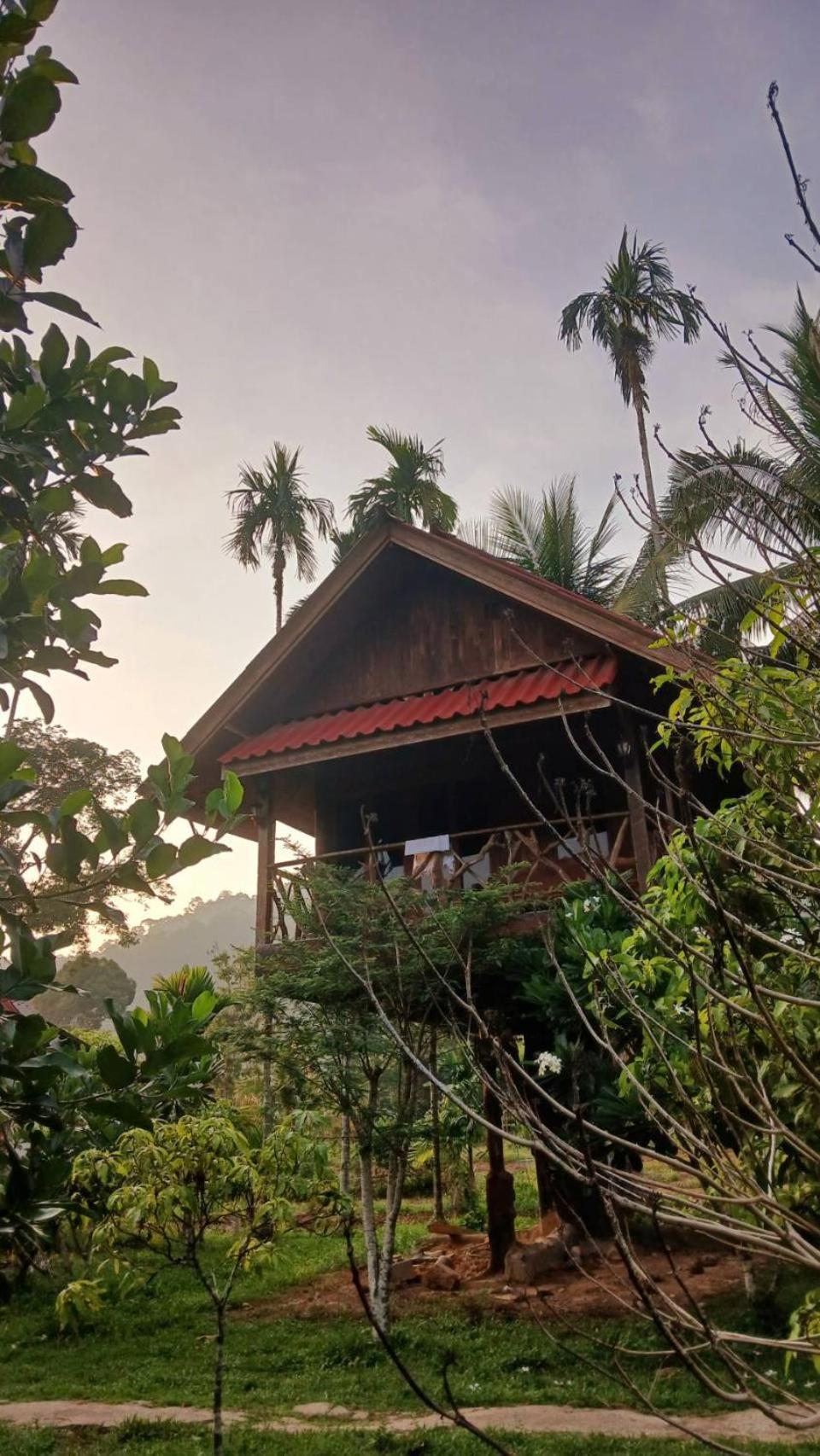 Bamboo House