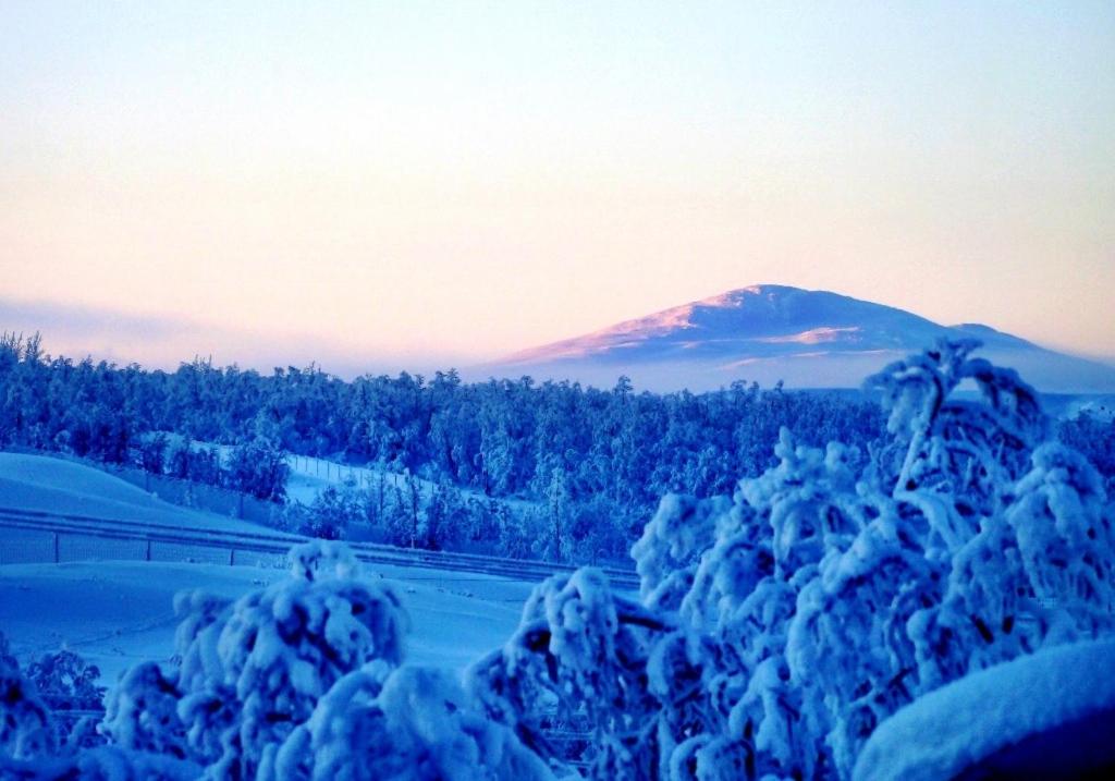Máttaráhkká Northern Light Lodge 24