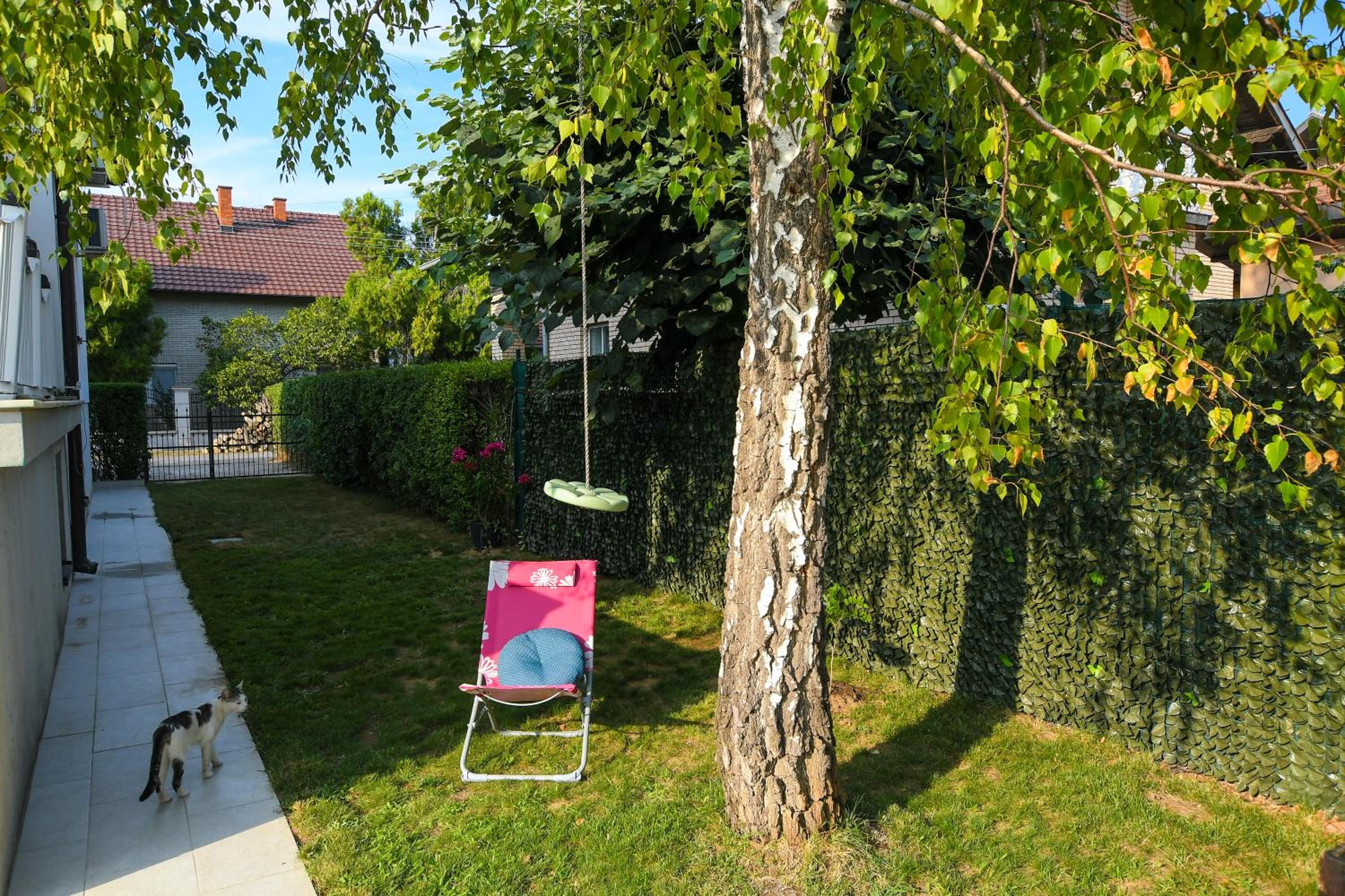 Photo 24