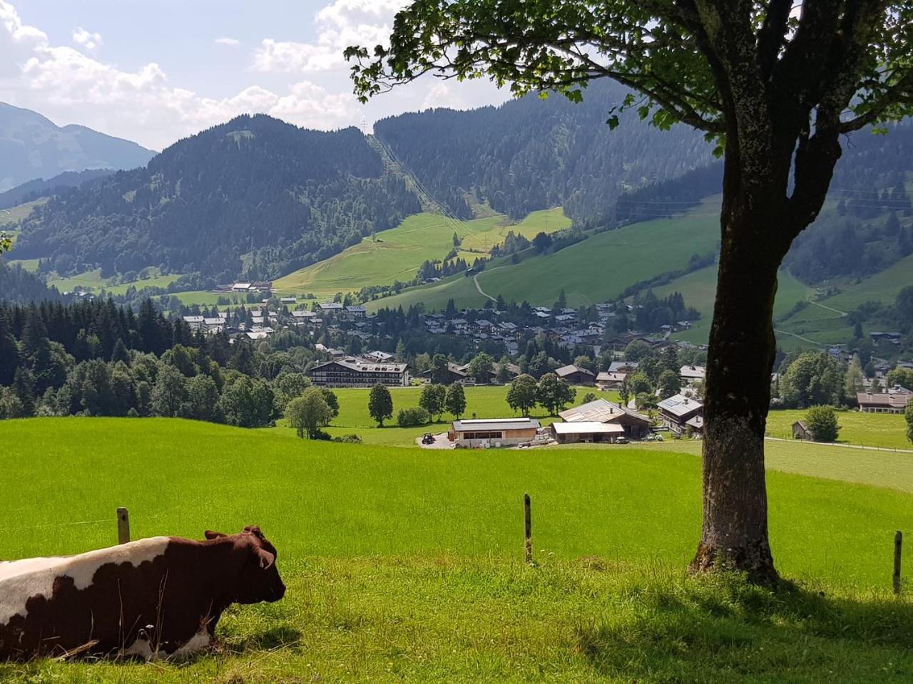 Haus Sonnleiten