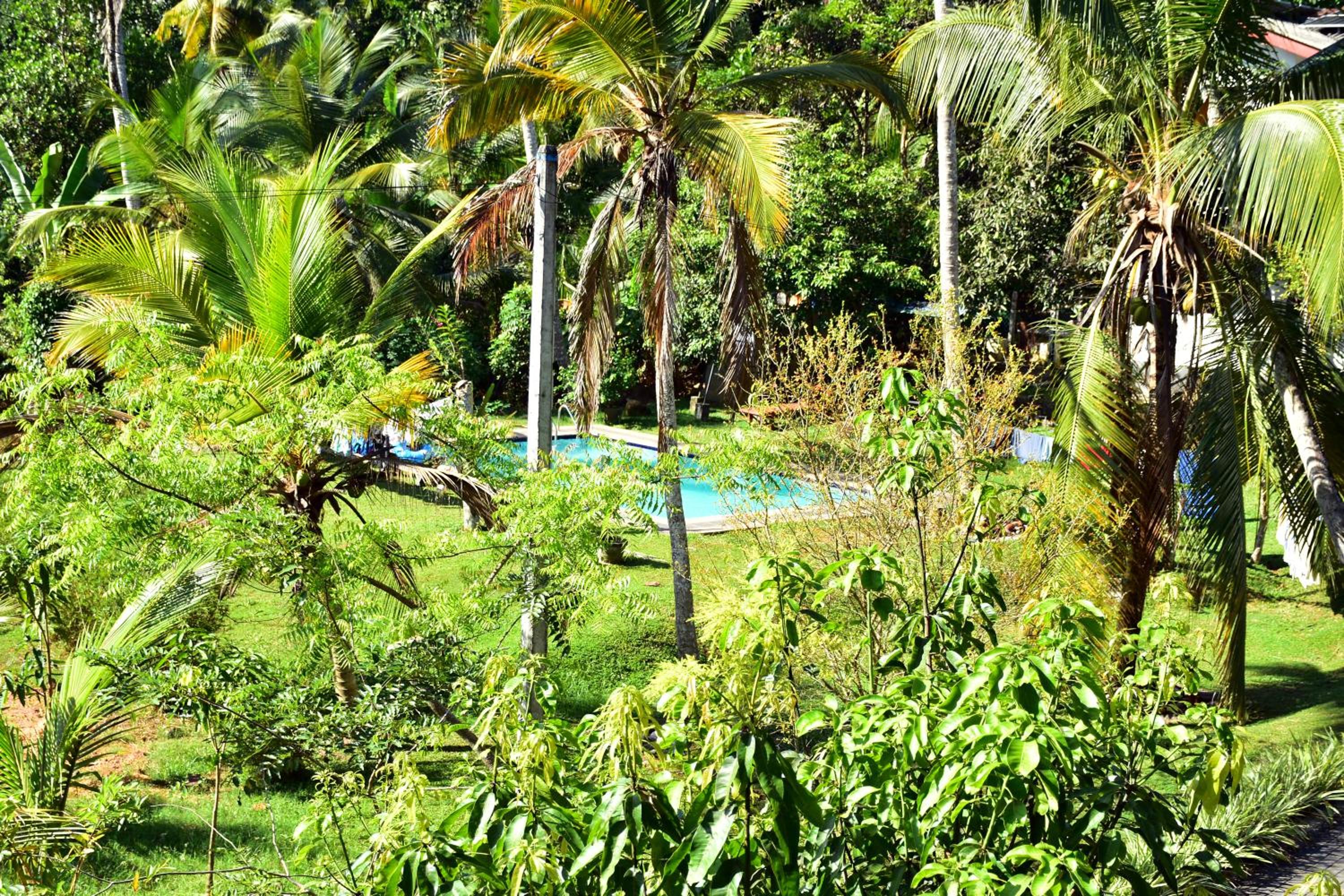 Villa Seleena Palace