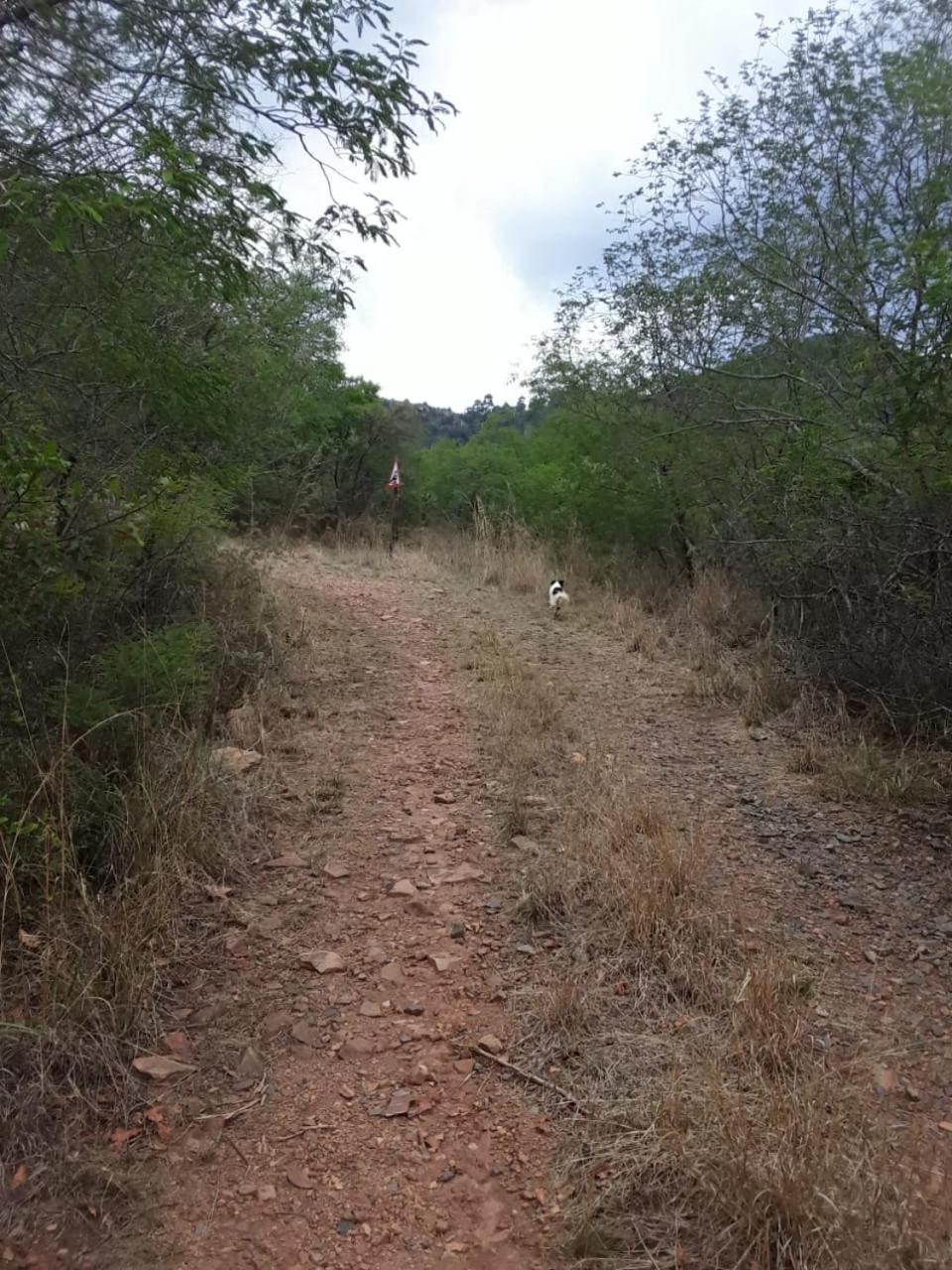 Photo 19