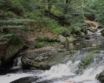 Gite Ardennes Au coin du feu jacuzzi sauna et nature
