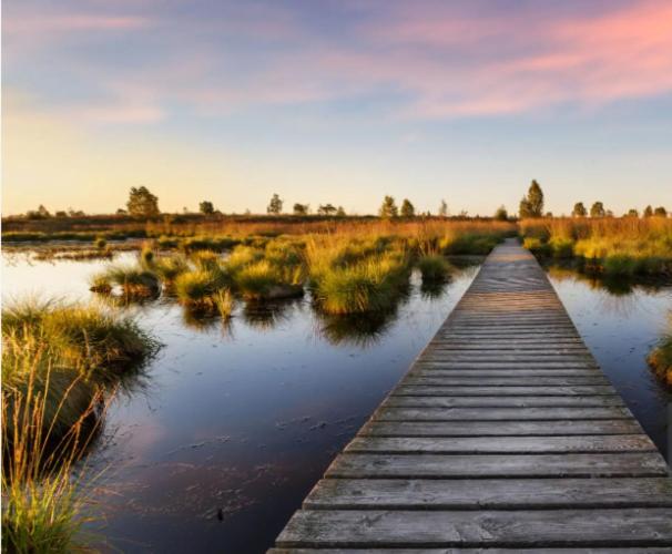 Gite Ardennes Au coin du feu jacuzzi sauna et nature