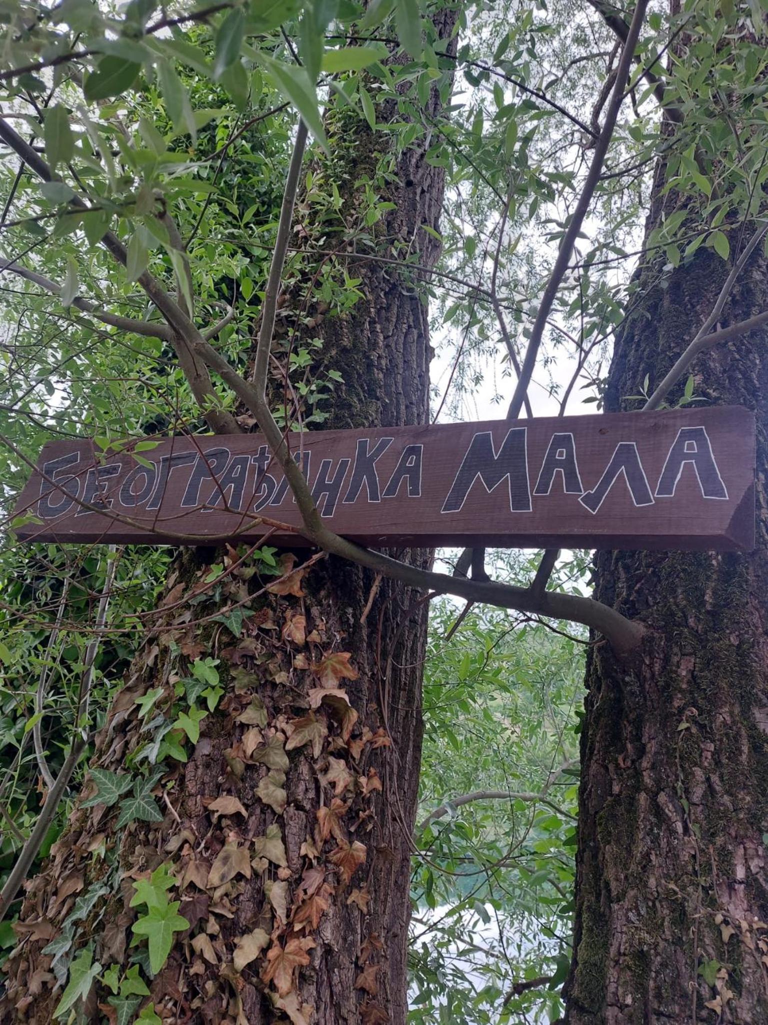Beogradjanka mala