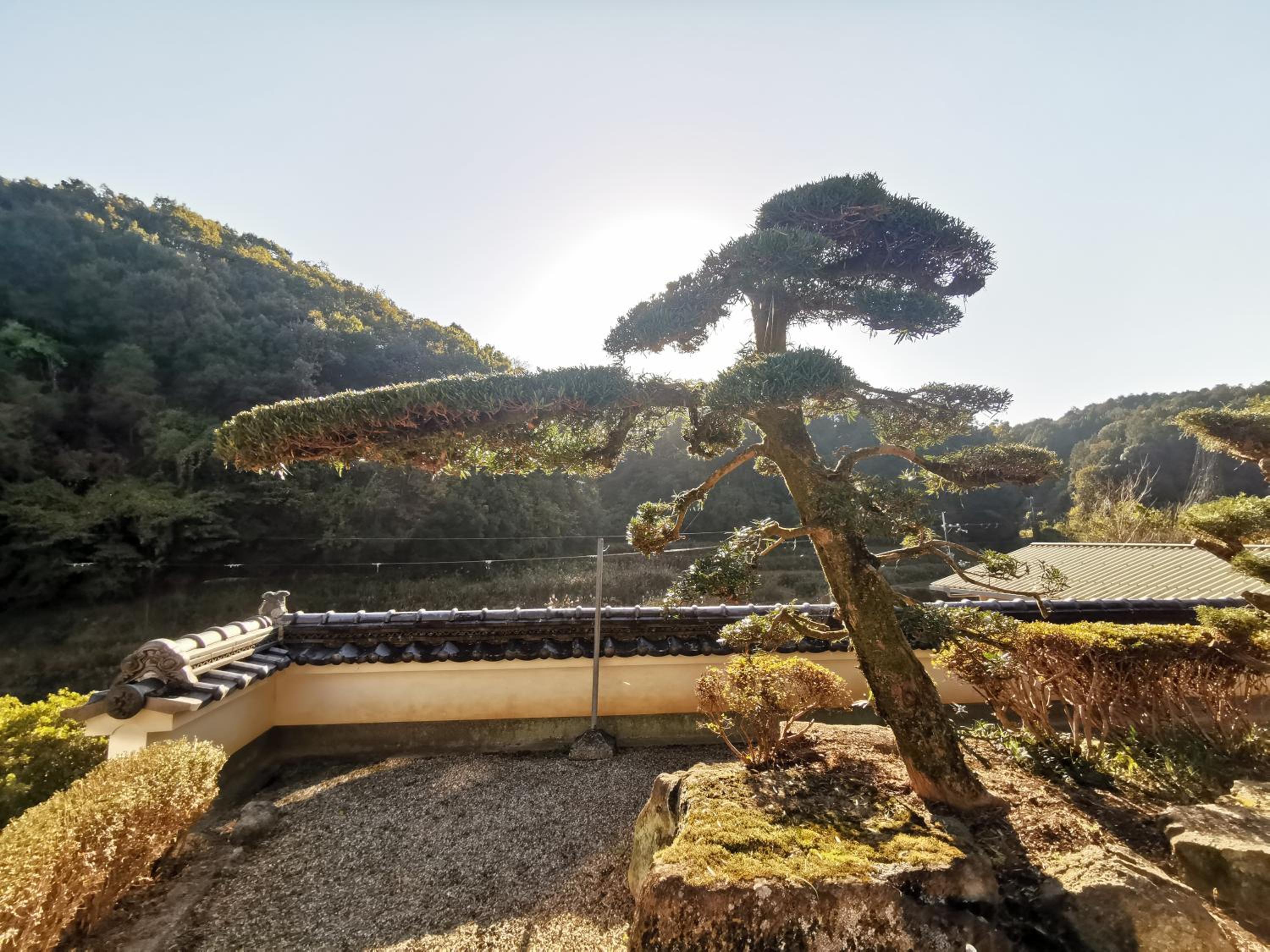奈良公園から車で約10分Jr奈良駅から車で約15分 福宿 view 5
