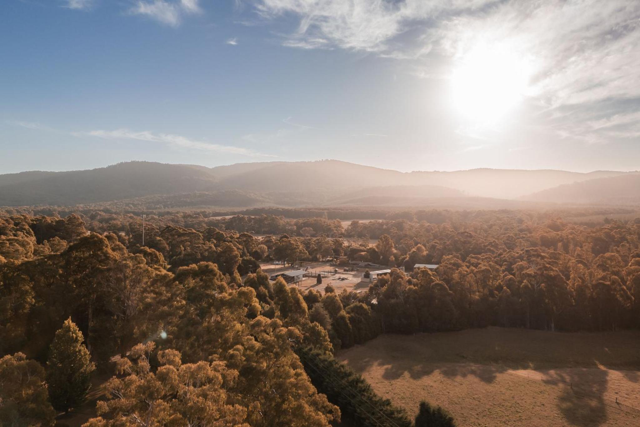 The Mill Houses Narbethong