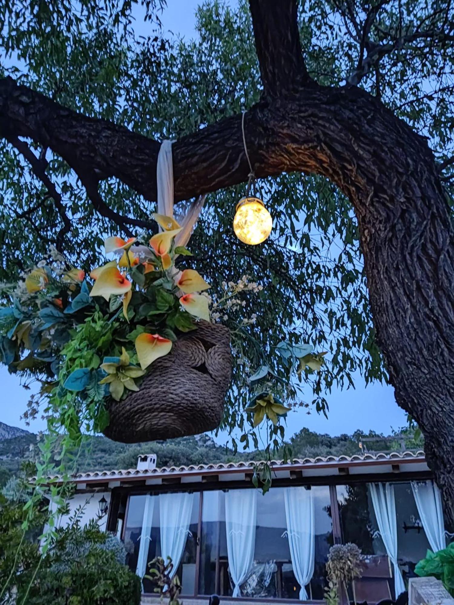 ENTRESIERRAS Apartamentos rurales con chimenea, barbacoa y espacio para eventos