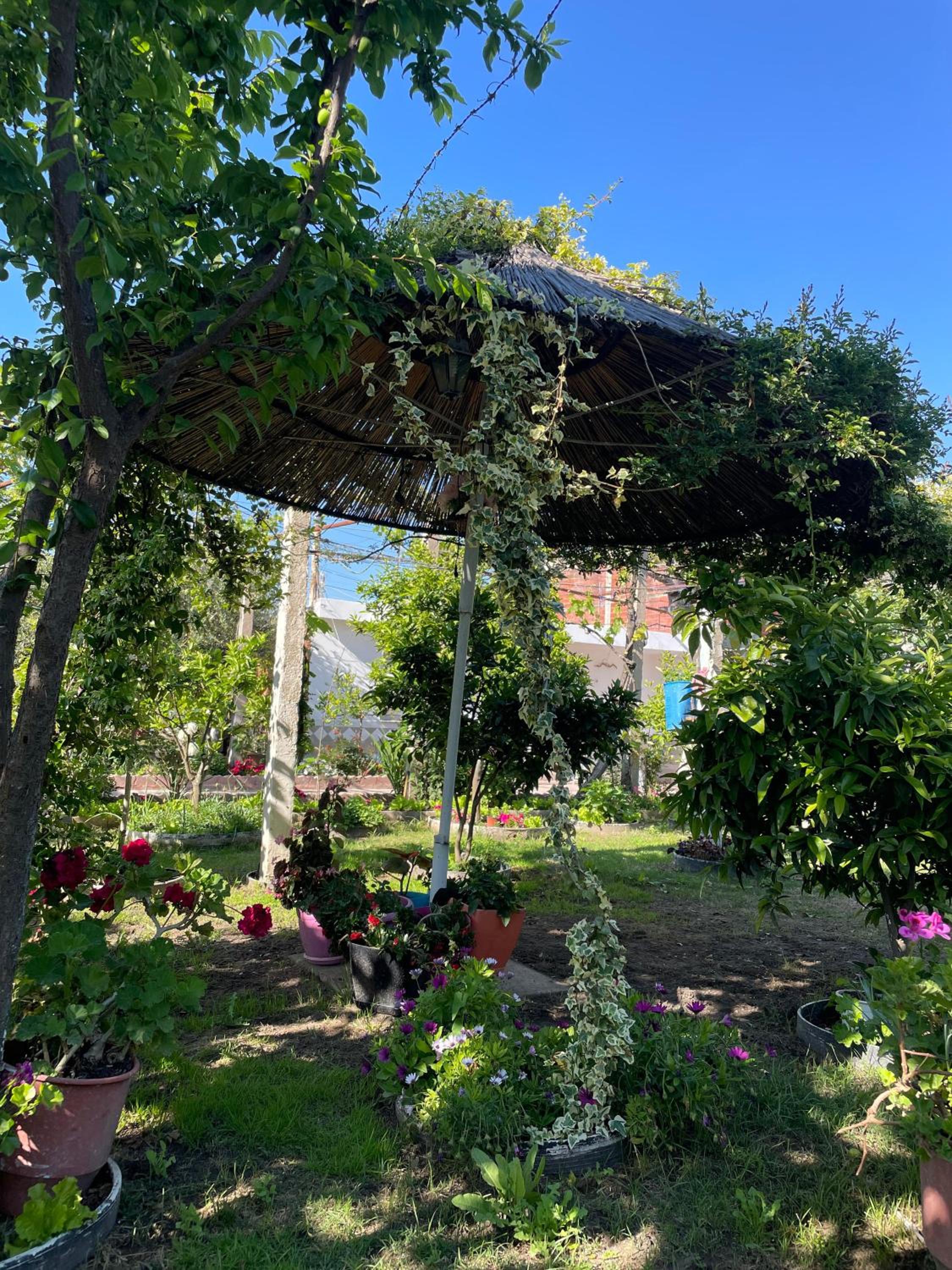 Guest House Miracle Garden