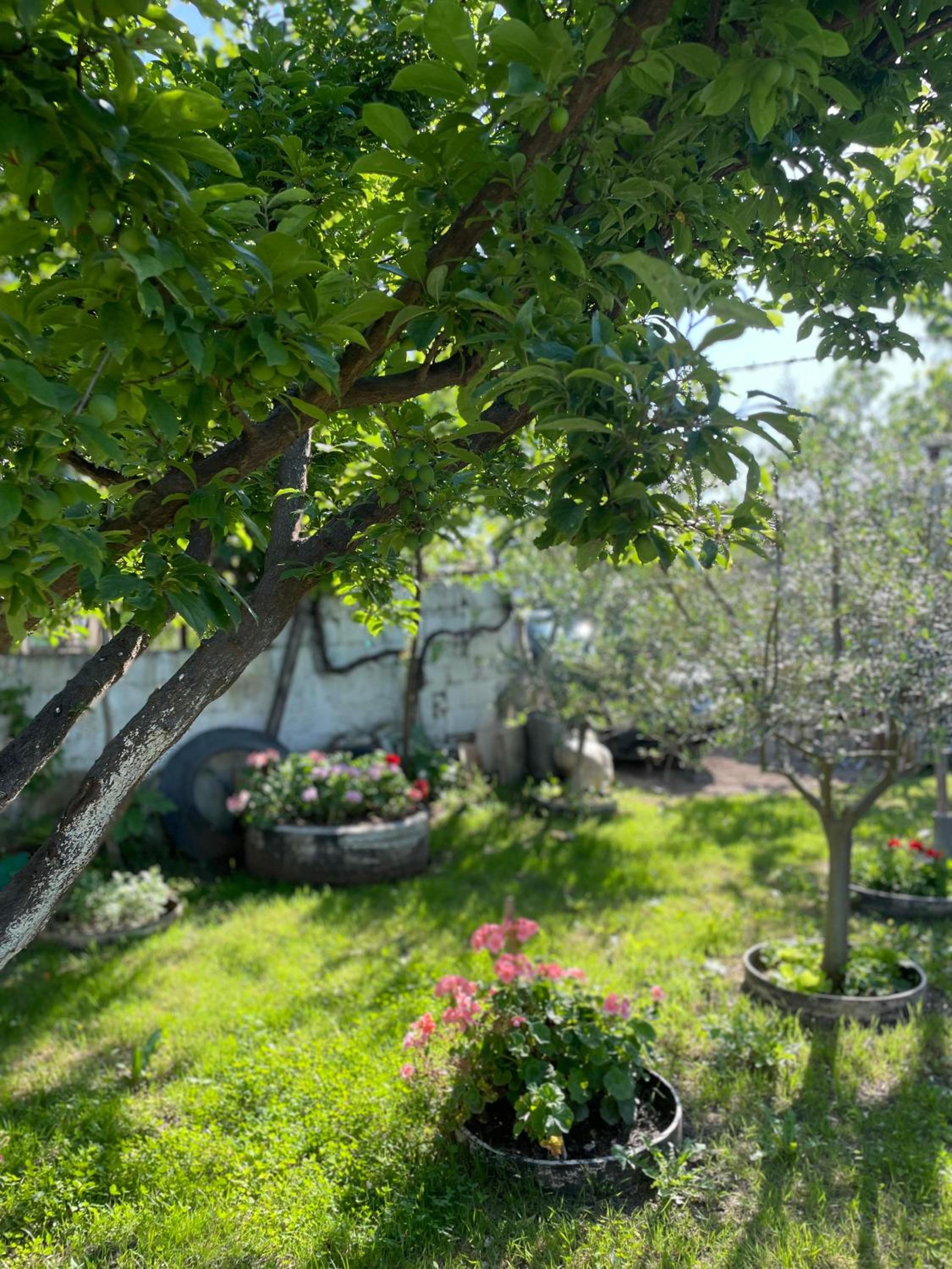 Guest House Miracle Garden