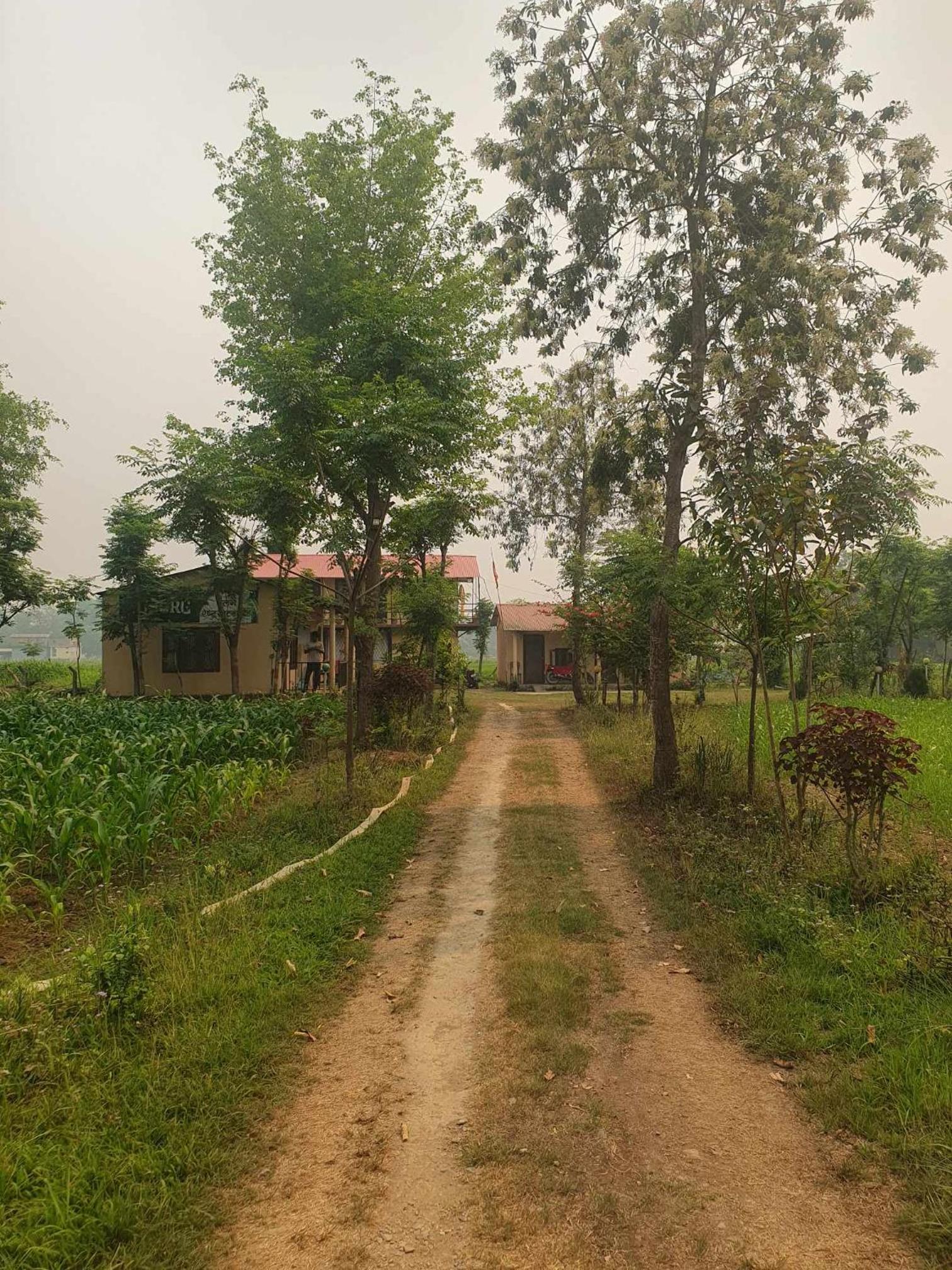 Northern Homes view 4