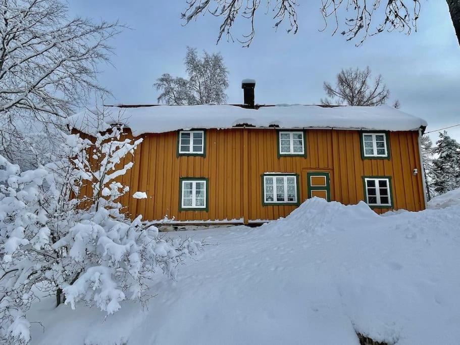 Photo 19