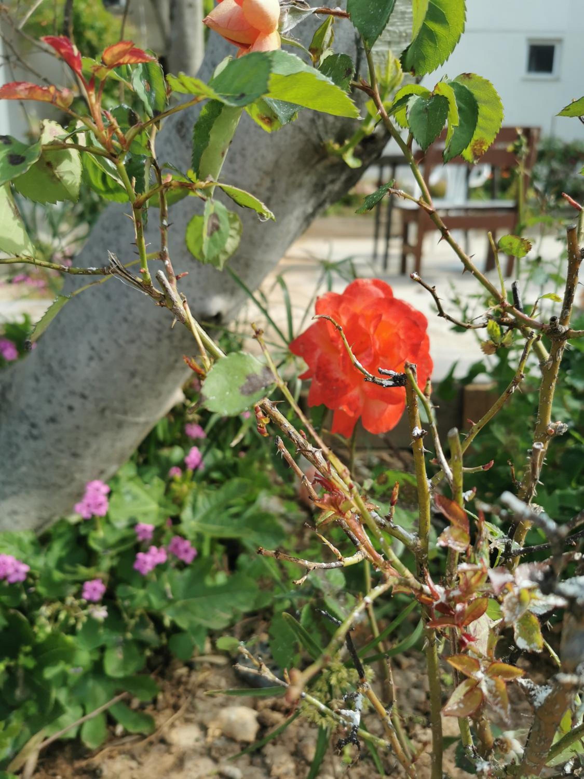 Vila Angelina