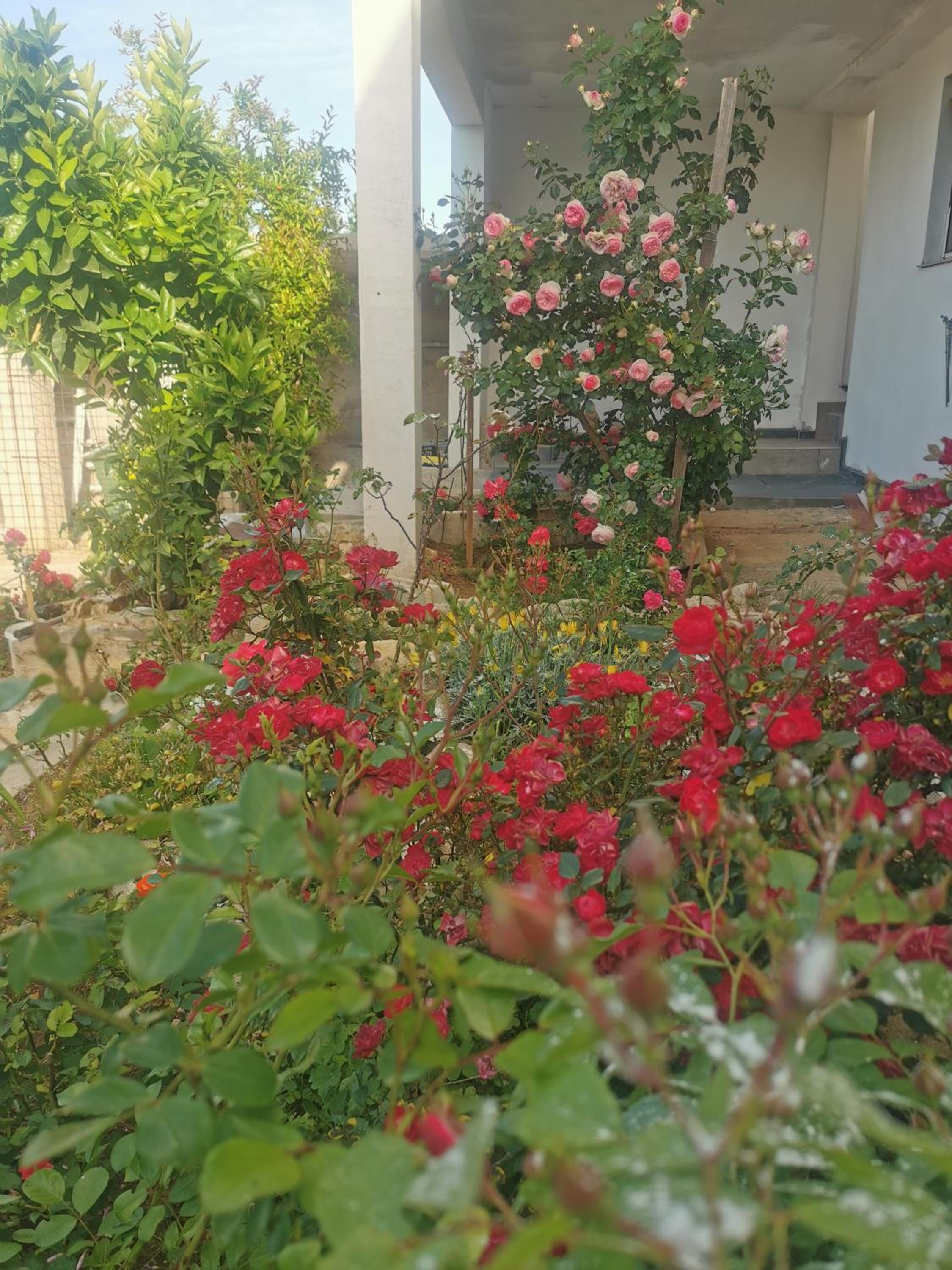 Vila Angelina