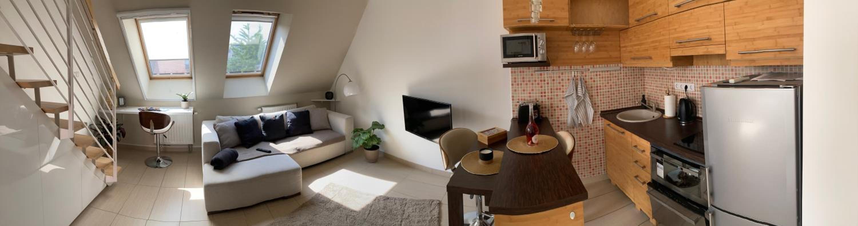 Buda Chill Loft Apartment view 3