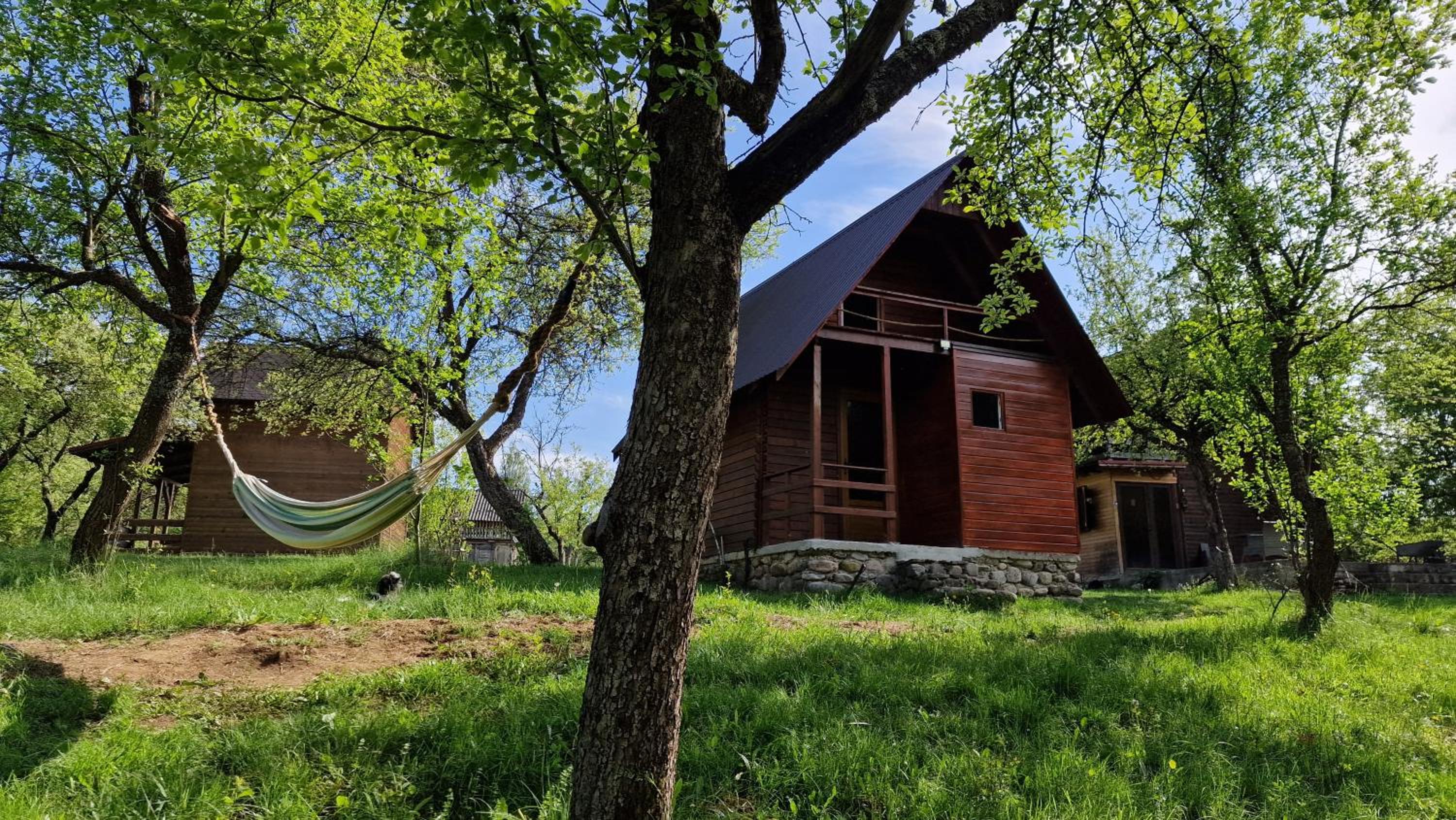 Sătucul de Vacanță Brăduleț view 2