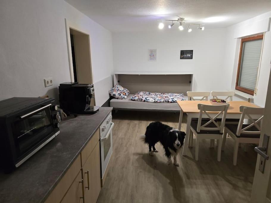 Nurburgring 2 Zimmer mit Kuche und Bad - Property Image 3
