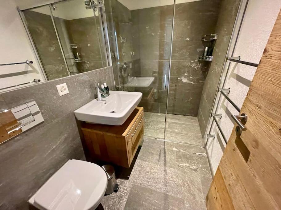 Spacious Family Apt Flims close to Lake Cauma