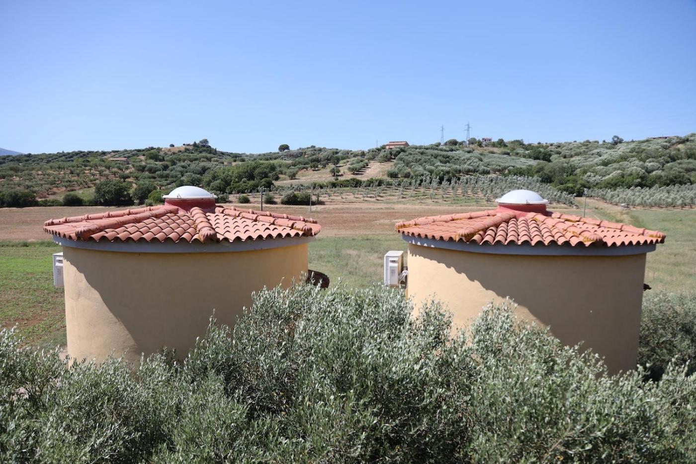 Agriturismo La Petrosa