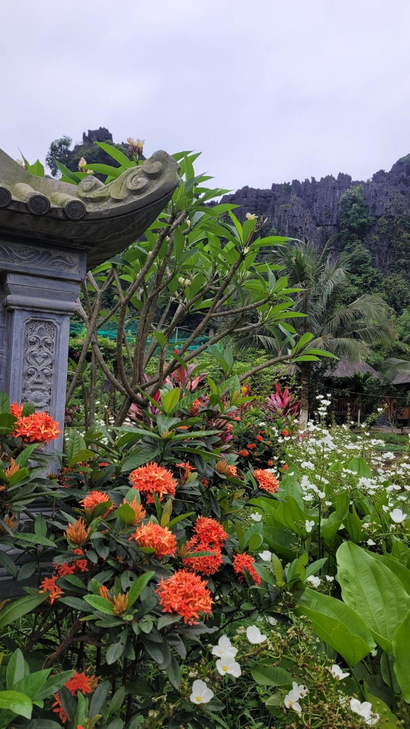 Fairy Mountain Retreat