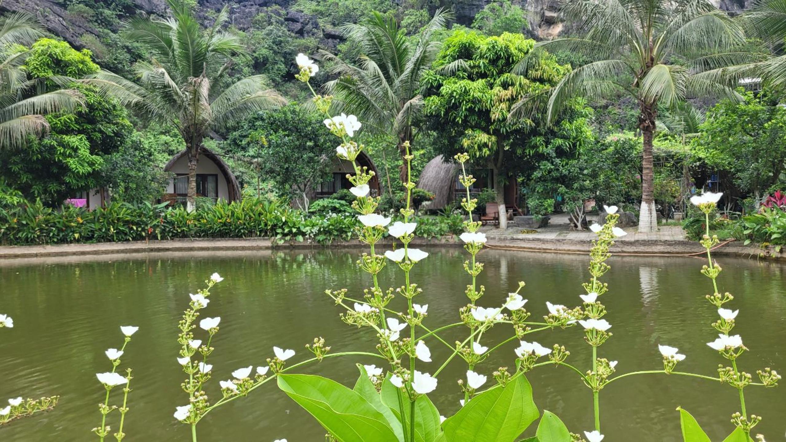 Fairy Mountain Retreat